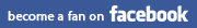 facebook faux finishers